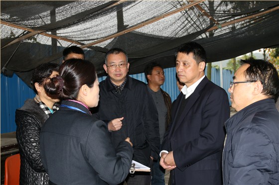 單建華、馬鳳萍一行來我司考察交流3 單建華、馬鳳萍一行來我司考察交流3