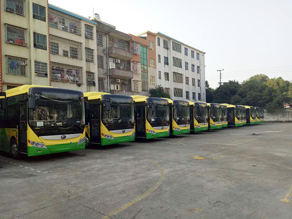 郴汽集團(tuán)嘉禾城鄉(xiāng)公交好司機(jī),百萬存折尋失主 郴汽集團(tuán)嘉禾城鄉(xiāng)公交好司機(jī),百萬存折尋失主